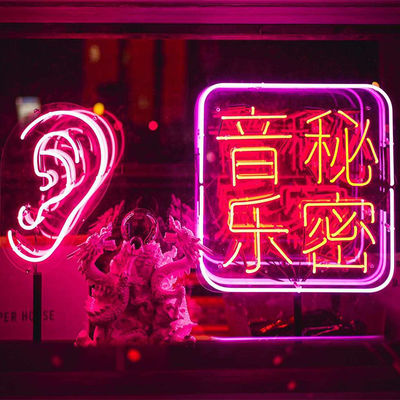 Стеклянные лампы привели гибкое неоновое неоновое свето прокладки вверх по CE знака